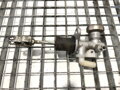 SERVO PUMPA / ČERPADLO SPOJKY NISSAN CABSTAR (F24M, F24W) 2006 - 2013