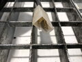 VENTILÁTOR KÚRENIA DAEWOO LUBLIN II 1997 - 2022