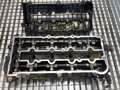 HLAVA VALCOV TATA SAFARI (42_FD) 1998 - 2022 278901153801