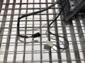 SPÄTNÉ ZRKADLO PRAVÉ MERCEDES-BENZ SPRINTER 3-T (B906) 2006 - 2022