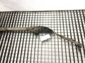 SERVO RIADENIA TOYOTA AURIS (_E15_) 2006 - 2012