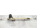 SERVO RIADENIA MAZDA CX-5 (KE, GH) 2011 - 2017 02360