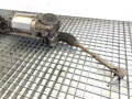 SERVO RIADENIA CHEVROLET CRUZE (J300) 2009 - 2022 7805501692 P13394513