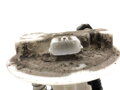 PALIVOVÉ ČERPADLO RENAULT CLIO III (BR0/1, CR0/1) 2005 - 2014 PAT5257916