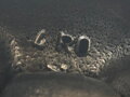 PIEST S OJNICOU VW GOLF V (1K1) 2003 - 2010 BLS