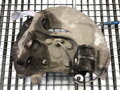OTOČ PRAVÁ PREDNÁ BMW 5 TOURING (E61) 2004 - 2010