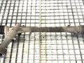 SERVO RIADENIA SKODA CITIGO (NF1) 2011 - 2019 1S1423057R
