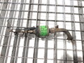 PALIVOVÉ ČERPADLO WEBASTO SCANIA P,G,R,T - SERIES 2003 - 2022 1448578