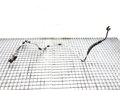 HADICA KLIMATIZÁCIE VW TOURAN (1T1, 1T2) 2003 - 2010 1T0820741K