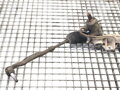 SERVO RIADENIA RENAULT LAGUNA III GRANDTOUR (KT0/1) 2007 - 2015 490010040R