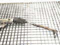 SERVO RIADENIA RENAULT LAGUNA III GRANDTOUR (KT0/1) 2007 - 2015 490010040R