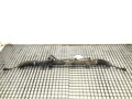 SERVO RIADENIA ALFA ROMEO GT (937_) 2003 - 2010