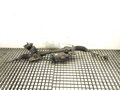 SERVO RIADENIA SKODA OCTAVIA III COMBI (5E5, 5E6) 2012 - 2022 5Q1423051AT