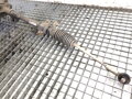 SERVO RIADENIA SUZUKI SWIFT III (MZ, EZ) 2005 - 2022