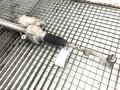 SERVO RIADENIA BMW 1 (F20) 2011 - 2019 6892977