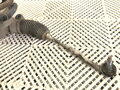 SERVO RIADENIA OPEL ASTRA K SPORTS TOURER (B16) 2015 - 2022 42525093