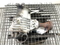 REDUKTOR PREVODOVKY PREVODOV FORD MONDEO V TURNIER (CF) 2014 - 2022 F1GP-7L486-LC
