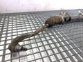 SERVO RIADENIA AUDI A4 B8 (8K2) 2007 - 2015 7832546796