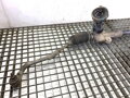 SERVO RIADENIA KIA CARENS IV 2013 - 2022 56500-A4005