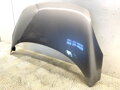 KAPOTA RENAULT GRAND SCÉNIC III (JZ0/1_) 2009 - 2022 TEKNG