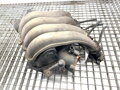 SACIE POTRUBIE AUDI A4 B6 (8E2) 2000 - 2005 06B133210AJ