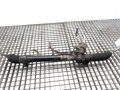 SERVO RIADENIA OPEL INSIGNIA A SPORTS TOURER (G09) 2008 - 2017 13292337