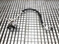 Hadica klimatizácie Ford Mondeo V Liftback (CE) 2014 - 2022 DS7H-19N601-FD