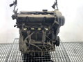 Motor Ford Fiesta VI (CB1, CCN) 2008 - 2022 STJA