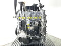 Motor Land Rover Range Rover Evoque (L551) 2018 - 2022 204DTY