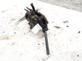 Servo riadenia Volvo FL6 1985 - 2000