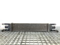 Intercooler Fiat Punto EVO (199_) 2008 - 2022