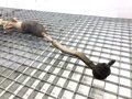 Servo riadenia Peugeot 208 I (CA_, CC_) 2012 - 2022 6700003928A