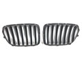 Maska chladiča grill BMW X1 (E84) 2009 - 2015 2993308