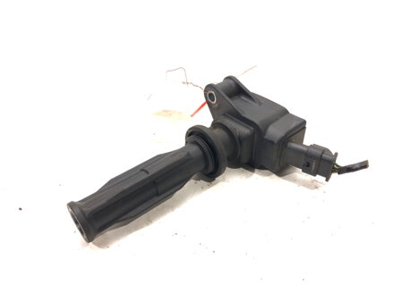 CIEVKA ZAPAĽOVACIA VOLVO S60 II (134) 2010 - 2018 AG9G-12A366-BB 0221604024