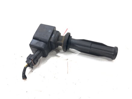 CIEVKA ZAPAĽOVACIA VOLVO S60 II (134) 2010 - 2018 AG9G-12A366-BB 0221604024