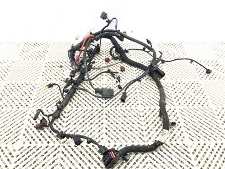 KABELÁŽ MOTORA VW GOLF VII (5G1, BQ1, BE1, BE2) 2012 - 2022 5Q0971230FP