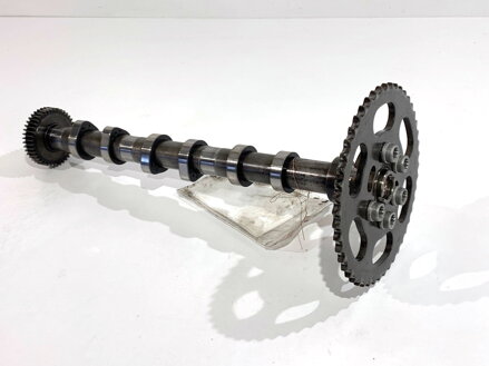 HRIADEĽ ROZVODOV SSACY AUDI A7 SPORTBACK (4GA, 4GF) 2010 - 2018 059109021ES 059109116A