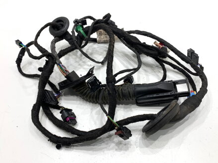 Kabeláž dvere zadná pravá Audi A8 D5 (4N2, 4N8) 2017 - 2022 4N0971687AN