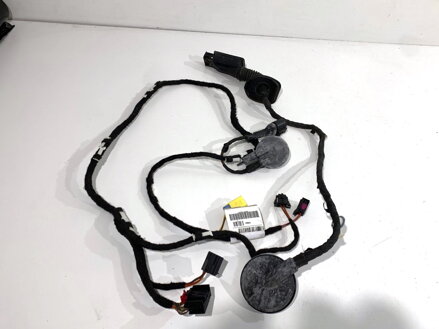 Kabeláž dvere predná ľavá Audi Q5 (8RB) 2008 - 2017