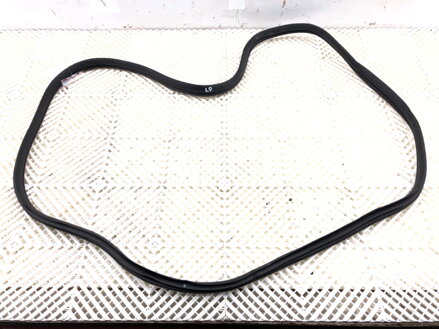 Tesnenie dverí predné ľavé Hyundai Elantra VII Sedan (CN7) 2020 - 2022