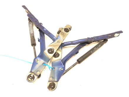 Pánt veka batožinového priestoru zadný sada Fiat Linea (323_, 110_) 2006 - 2022 51859320