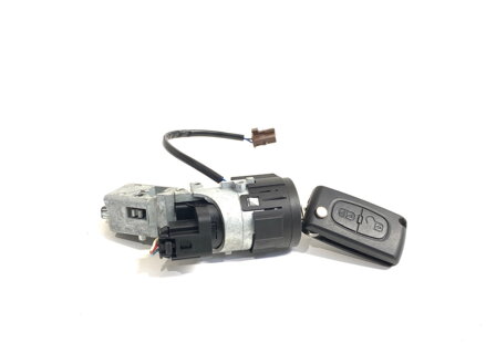 Spínacia skrinka Citroen C4 II (NC_) 2009 - 2022 N0502455