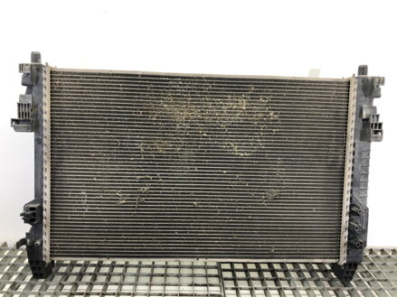 Chladič vody Mercedes-benz Class A (W169) 2004 - 2012 A1695000703