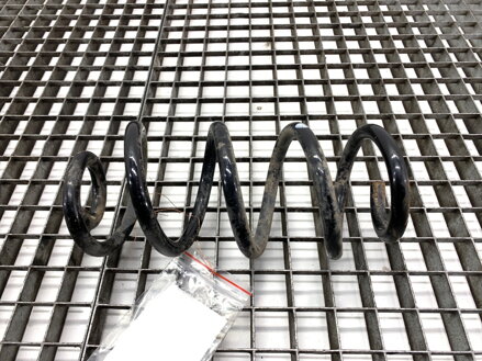 Pružina zadná Renault Arkana I (LCM_) 2019 - 2022