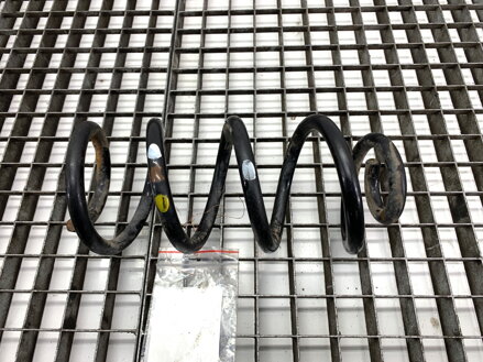 Pružina zadná Renault Arkana I (LCM_) 2019 - 2022