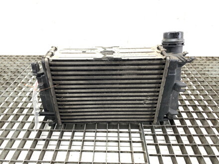 Intercooler Nissan Qashqai II SUV (J11, J11_) 2013 - 2022 144962803R