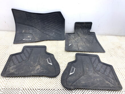 Dywanik sada BMW X5 (G05, F95) 2018 - 2458552