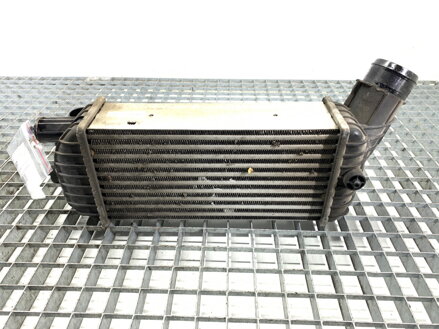 Intercooler Citroen DS4 (NX_) 2011 - 2015