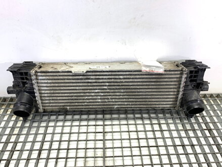 Intercooler BMW X4 (G02, F98) 2018 - 2022 8582879