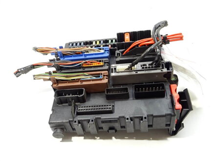 Modul BSI Opel Signum Liftback (Z03) 2003 - 2008 13170891